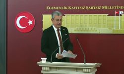 YENİ Parti'den Skandal Fon İddiası: "20 Milyar Dolar Soyuldu, AKP'liler Parayı Alıp Kaçtı"