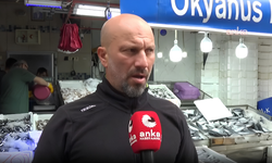 Sinoplu Balıkçılardan Palamut Sezonunda Mazot İsyanı: "Maliyetlere Para Yetişmiyor"