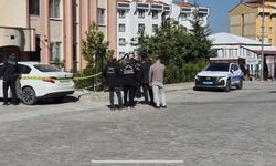 Malatya'da Sokak Ortasında Bıçaklı Saldırı: 5 Çocuk Annesi Kadın Hayatını Kaybetti