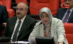 AK Parti'li Özlem Zengin'den Fon Açıklaması: "Kim Hukuku İhlal Ettiyle Hesap Vermeli"