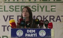 DEM Parti Eş Genel Başkanı Tülay Hatimoğulları: “Demokratikleşme için çerçeve yasa hayata geçmeli”