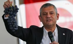 Çiftçinin Ürünü Dalında Çürüdü, Özgür Özel Rakamlarla İsyan Etti: "25 Liralık Üzüm 25 Liraya Alınıyor!"