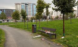 Malatya 100. Yıl Parkı'nda çevre kirliliği: Belediyenin denetim ve yaptırım sorumluluğu