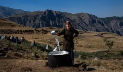 Avuş Yaylası