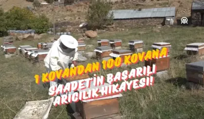 1 Kovandan 100 Kovana: Saadet'in Başarılı Arıcılık Hikayesi!