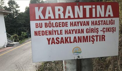 Elazığ'ın 3 ilçesine karantina