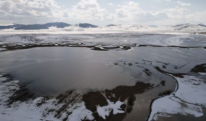 Göle Ovası'ndaki menderesler karın erimeye başlamasıyla taştı