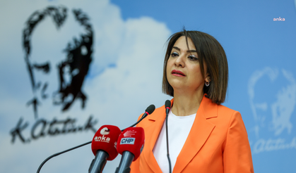 CHP’li Taşcıer: “Biz normaliz, anormal olan sizin sapkın zihinleriniz”