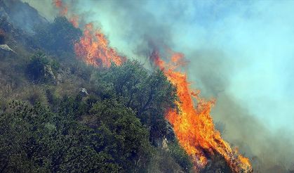 Dünyanın ormanları yangın tehdidi altında