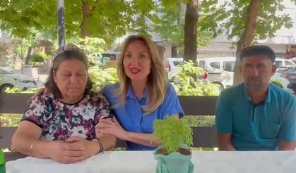 Aylin Nazlıaka'dan, "zeytin nöbeti" tutan köylülere destek ziyareti
