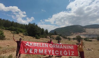 Danıştay'dan Akbelen kararı: ÇED muafiyeti yeniden incelenecek