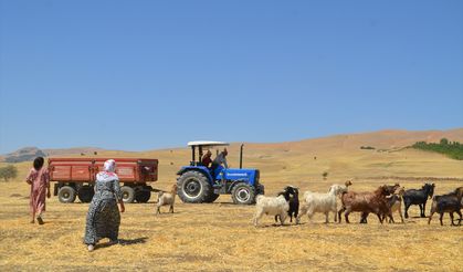 5 ay süren yayla yolculuğu sona erdi