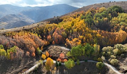 Muş’ta Genç Adımlar Derneği’nden Sonbahar Yürüyüşü: Bağlar Bölgesi Renk Cümbüşüne Dönüştü