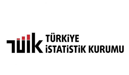 TÜİK ilk kez açıkladı: Girişimlerin yüzde 7,5’i yapay zekâ kullanıyor