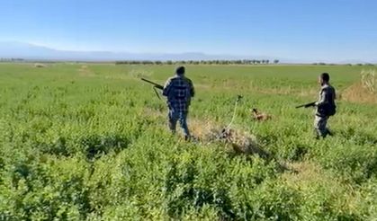 Malatya'da av sezonu sıkıntılı başlıyor: Avcılardan çağrı