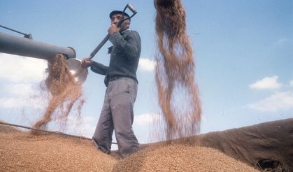 TMO, 1 Ekim 2025’ten İtibaren Geçerli Hububat Satış Fiyatlarını Açıkladı