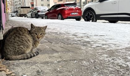 Doğu Anadolu’da Dondurucu Soğuk: Beş İlde Kar Yerini Buzlanmaya Bıraktı