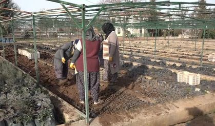 Türkiye’den Türkmenistan’a 50 bin fidan desteği