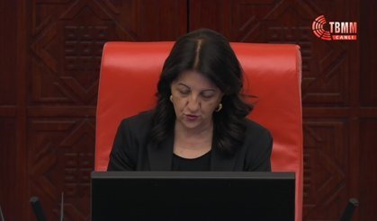 Meclis’te "Terbiyesiz" Kavgası! DEM Partili Konukcu’dan AK Partili Çalkın’a Sert Yanıt: "Bildiğin Kadınlara Benzemem!"