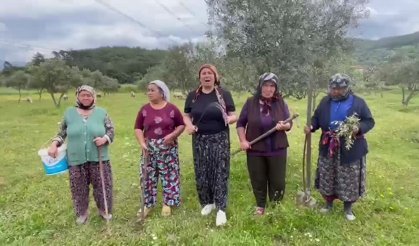 Akbelen’den 1 Mayıs Çığlığı: "Emeğimize, Zeytinimize ve Evladımıza Özgürlük İstiyoruz!"
