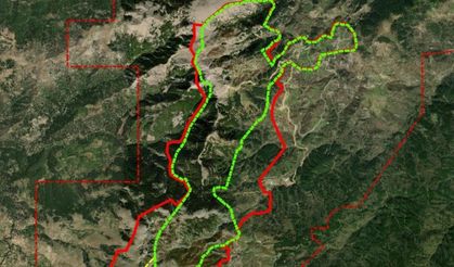 Madra Dağı'nda Korkutan Onay: 66 Binden Fazla Ağaç Kesilecek!