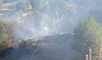 Malatya Darende'de bahçede çıkan yangın yurttaşların da desteğiyle kontrol altına alındı