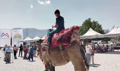 Tırtar Yaylası’nda Unutulmaz Buluşma: Yörük Yaşamının Arkasındaki Büyük Gerçek
