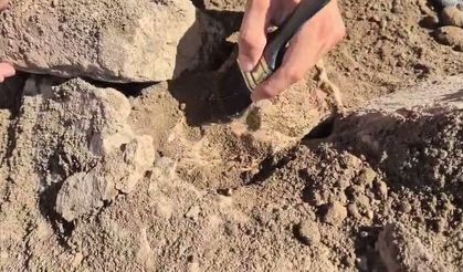 Kütahya'da Dört Bin Yıllık Keşif: Kerpiç Üzerindeki Pati İzleri Gün Yüzüne Çıkarıldı
