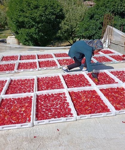 Doğanşehirli Kadınlar Üreterek Ev Ekonomisine Katkı Sağlıyor