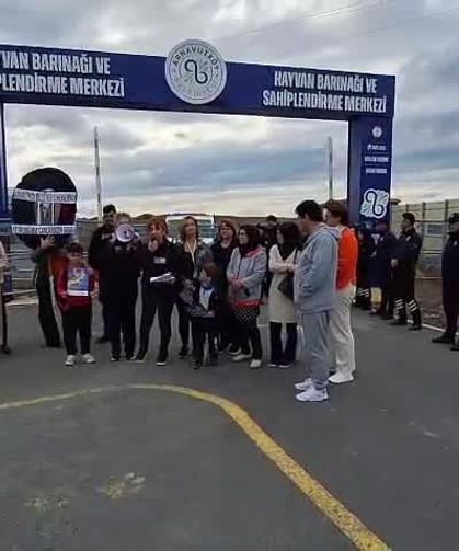 Hayvan Hakları Savunucularından Sert Tepki: “Doğal Yaşam Alanı Değil, Doğal Cehennem Alanları”