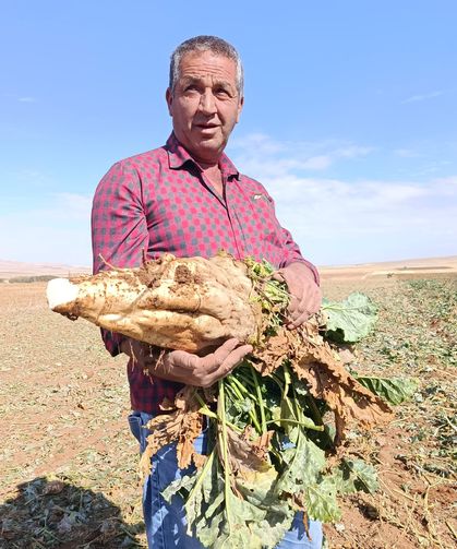 Darendeli çiftçi dert yandı: “Suya, gübreye, işçiye verdik; bize 500 kilo kaldı”