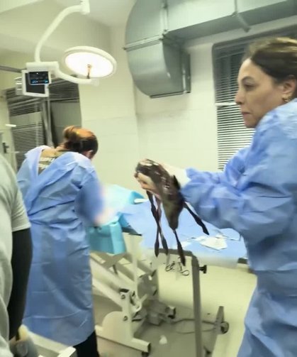 İzmir'de Mucize Kurtuluş: Öldü Sanılan Yavru Ceylan Suni Solunumla Hayata Döndü!