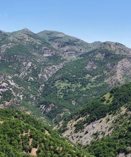 39 Yıllık Hasret Bitmiyor: Bali Mezrası Sakinlerinin Tek Talebi Yol