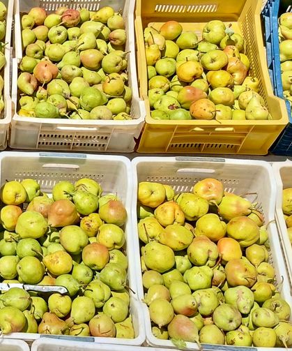 Kürecik’in Meşhur Bal Armudunda Sezon Açıldı: Yol Kenarı Tezgâhlarında Alıcı Bekliyor