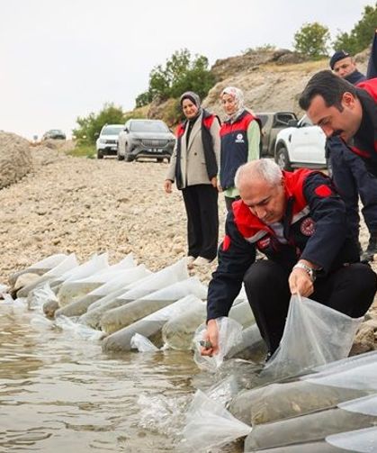 Malatya'da Su Kaynaklarına Dev Yatırım: 6 İlçeye 1 Milyon 300 Bin Sazan Yavrusu Bırakıldı!