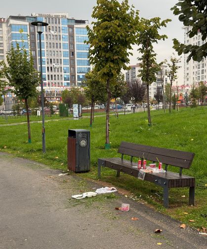 Malatya 100. Yıl Parkı'nda çevre kirliliği: Belediyenin denetim ve yaptırım sorumluluğu