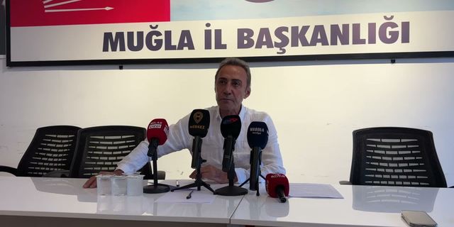 CHP'de Flaş İstifa: Berhan Şimşek Görevinden Ayrıldığını Açıkladı