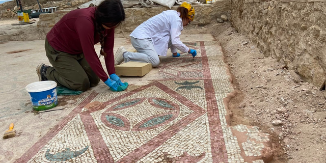 Pompeiopolis Antik Kenti’nde 105 Metrekarelik Roma Dönemi Mozaiği Gün Yüzüne Çıkarıldı