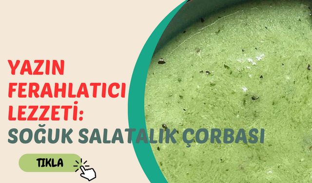 Yazın Ferahlatıcı Lezzeti: Soğuk Salatalık Çorbası