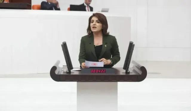 Gülcan Kış:'' İşgücü Uyum Programı, okullarda ciddi bir hijyen krizine yol açacak''