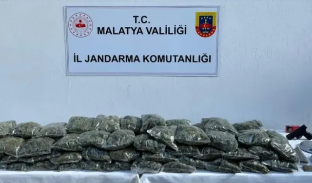 Malatya'da uyuşturucu operasyonunda 1 şüpheli yakalandı