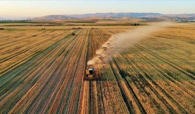 Çiftçilere Müjde! 185 Milyon TL Tarımsal Destekleme Ödemesi Yapıldı