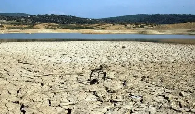 Aşırı sıcaklıkların getirdiği kuraklık ve dengesiz yağışlar tarımsal üretimi etkiliyor