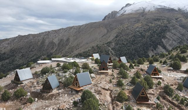 Ergan Dağı'nda kar tutumunu artırmak için çim çalışması yapılıyor