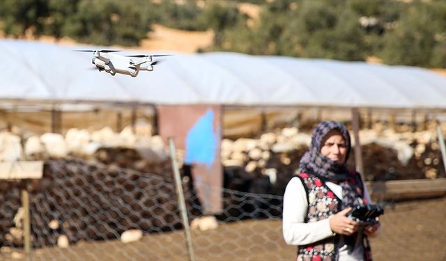 Drone’la Çobanlık: Kurtlara Karşı Yüksekten Gelen Koruma