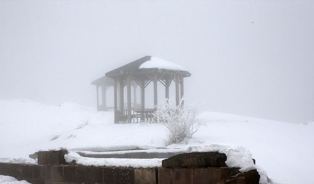 Bolu Dağı ve Bitlis'te sis ve soğuk hava etkili oldu