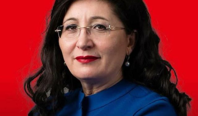 Alman Milletvekili Nezahat Baradari’den sert eleştiri