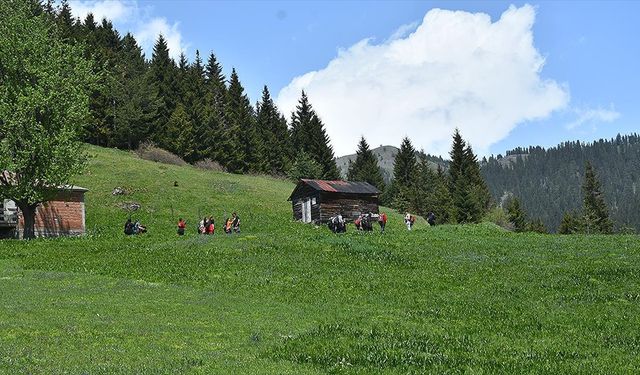 Gümüşhane yaylaları doğaseverleri ağırlamaya başladı
