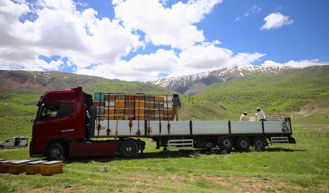 Kışı Akdeniz'de geçiren arıcılar Bingöl'ün yaylalarına dönüyor