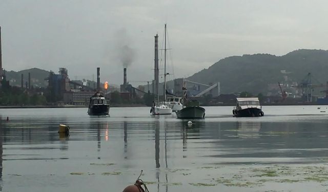 Batı Karadeniz Çevre Gönüllüleri'nden ERDEMİR hakkında, hava kirliliğine neden olduğunu iddiasıyla suç duyurusu